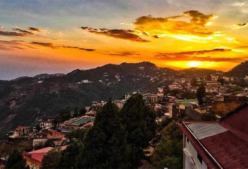 בית מלון כפרי The Sapling Manor