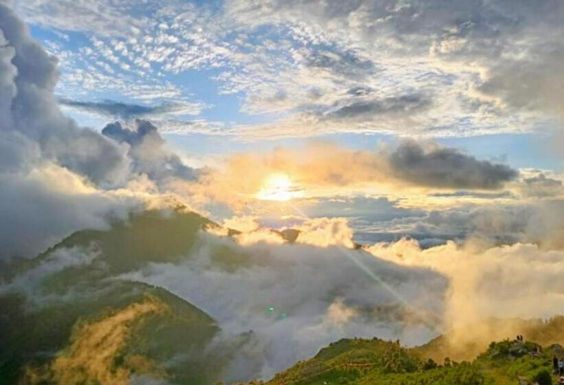 בית מלון כפרי The Sapling Manor