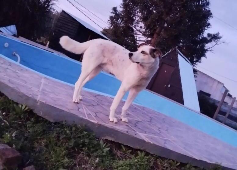 پانسیون Maleglam