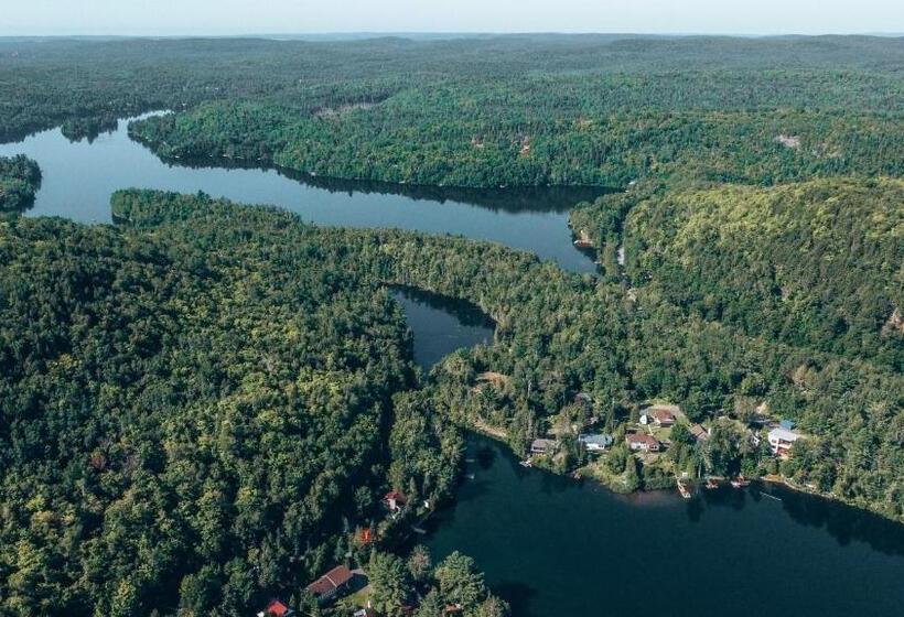 הוסטל Auberge Mandala