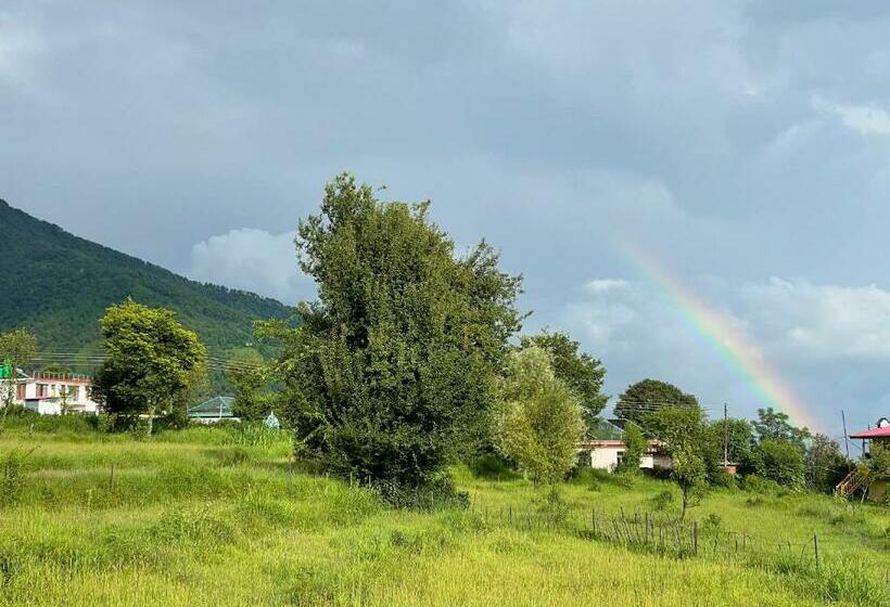 旅馆 Flashpackers Bir   Rooms & Dorms