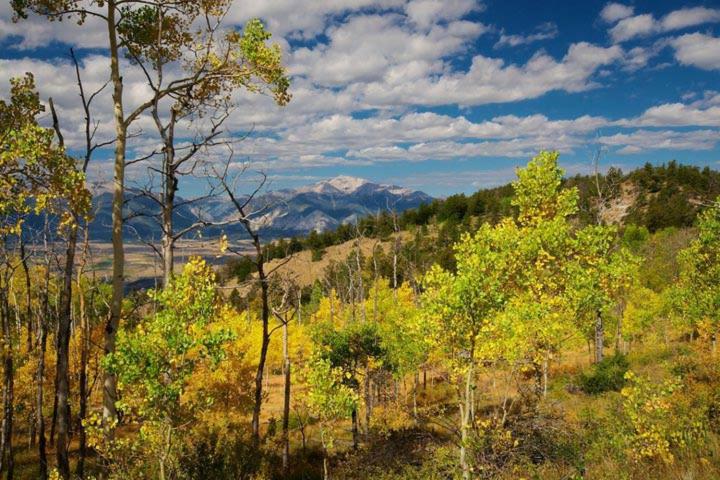 Общежитие Rocky Mountain Cabins Of Buena Vista