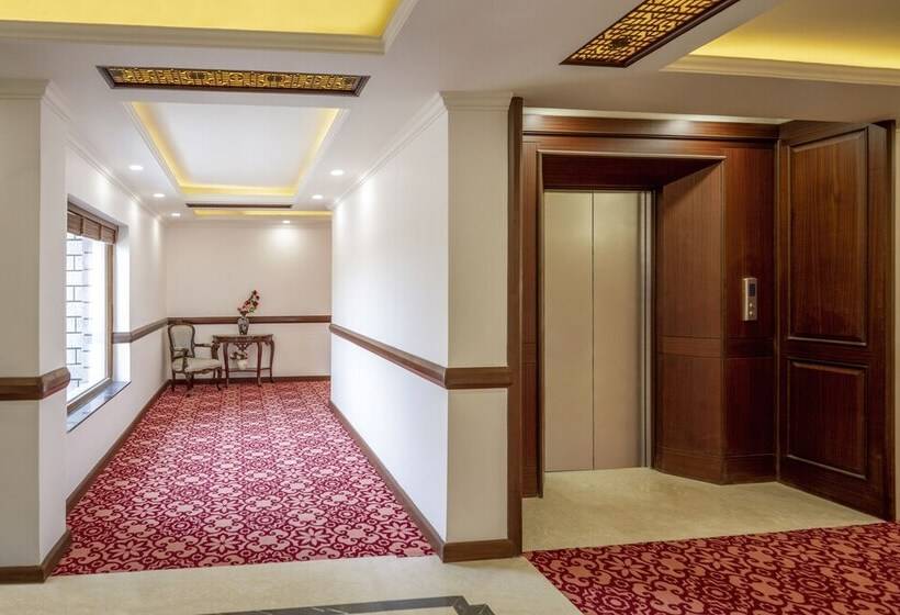 Gyalpo Residency A Mountain View Luxury Hotel In Leh