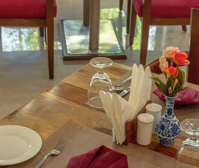 Gyalpo Residency A Mountain View Luxury Hotel In Leh