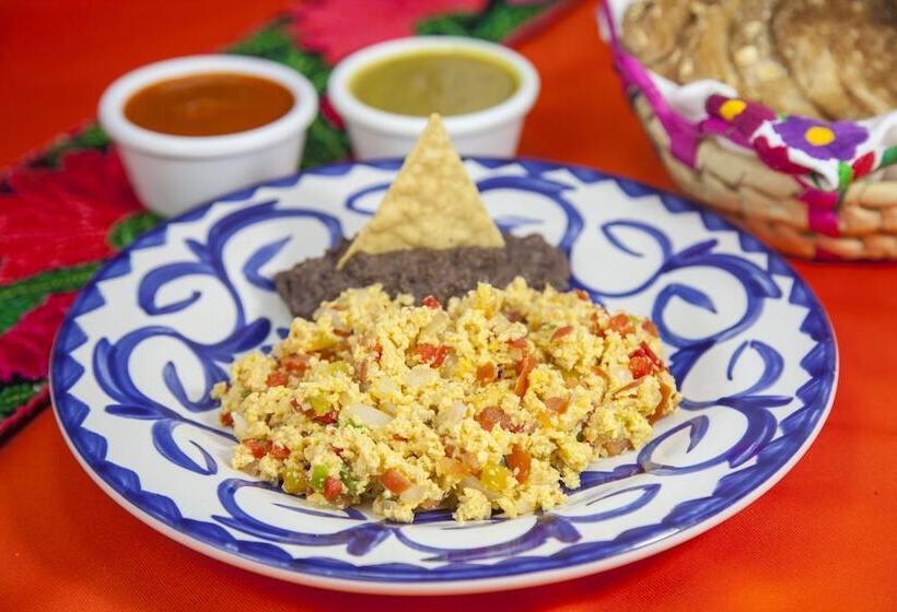 هتل Brisas 5a Av, Playa Del Carmen