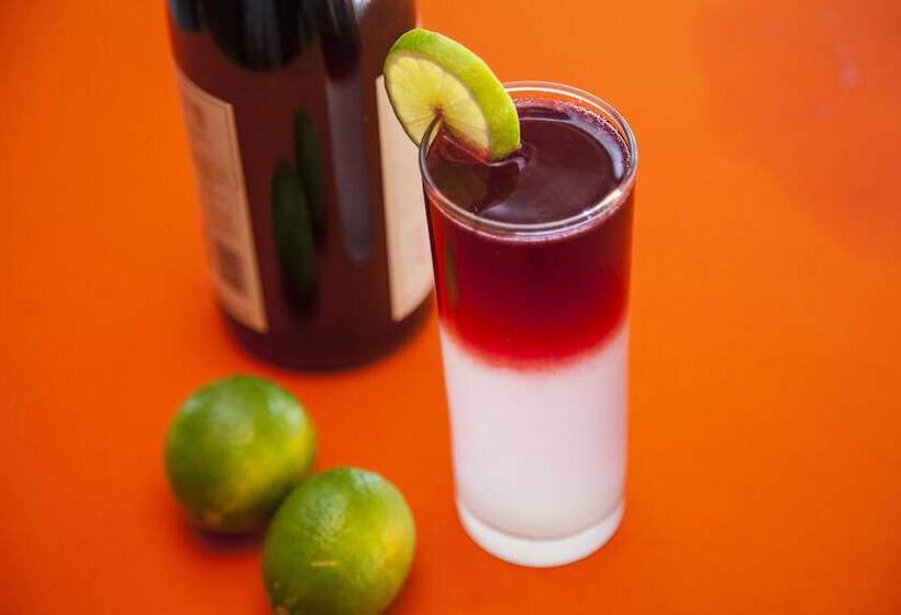 هتل Brisas 5a Av, Playa Del Carmen