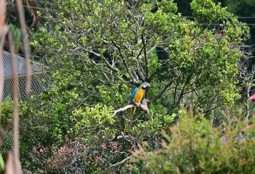 호텔 Cafetero Valparaíso