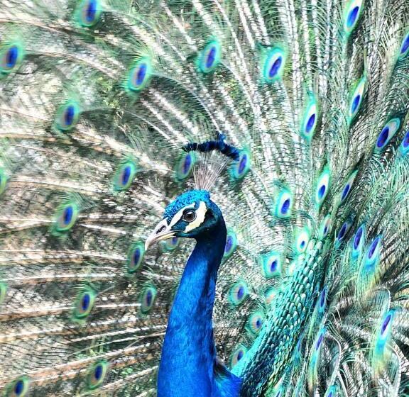 호텔 Cafetero Valparaíso