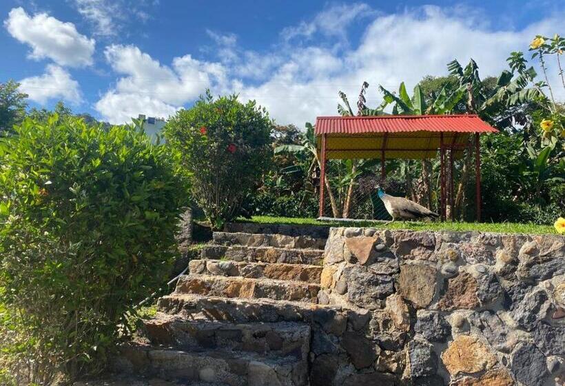 호텔 Cafetero Valparaíso