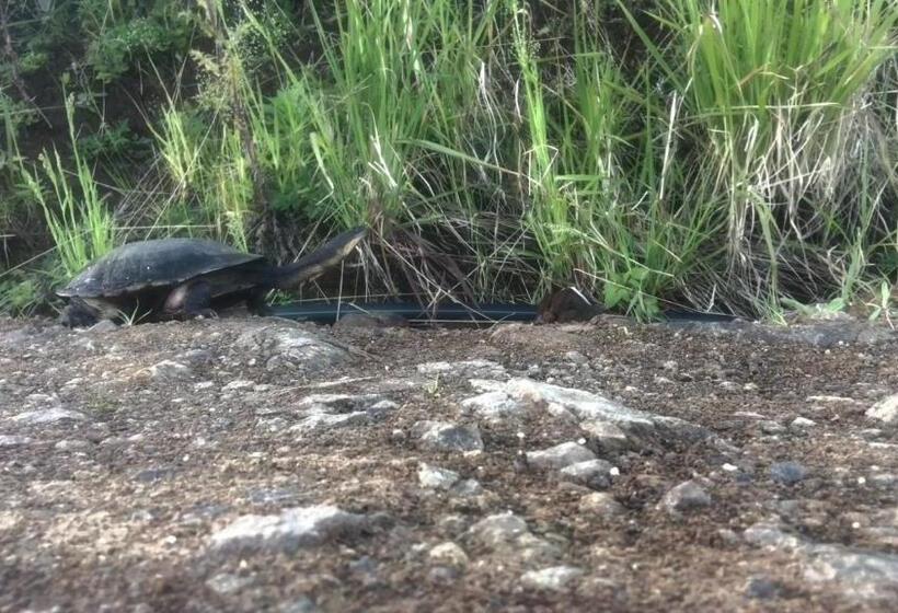 בית מלון כפרי Gateway