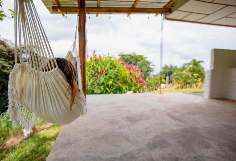 Buen Camino Hotel, San Mateo