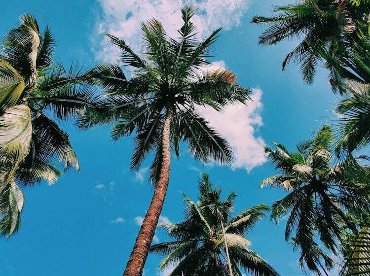 Пансион Baan Pila