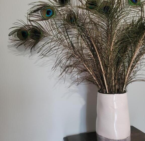 פנסיון Chambre D Hôtes Le Flacon De La Verrouille