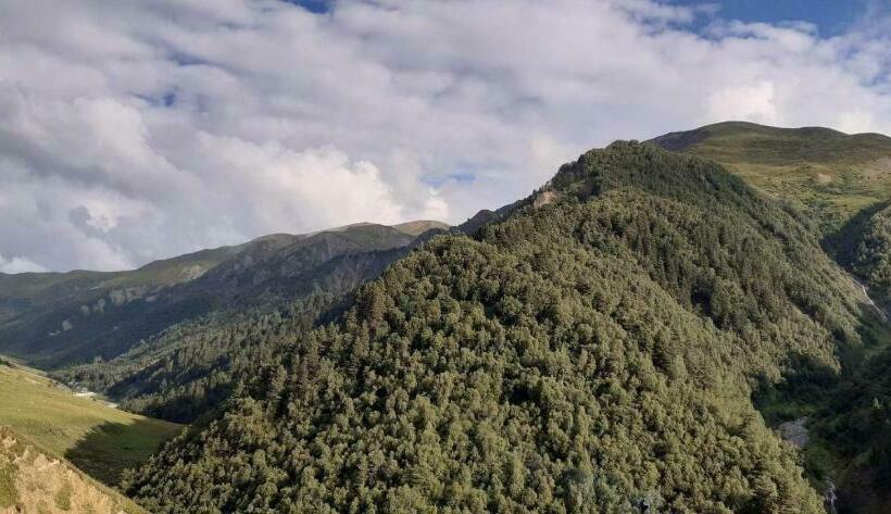 پانسیون Koba Qaldani S Guest House