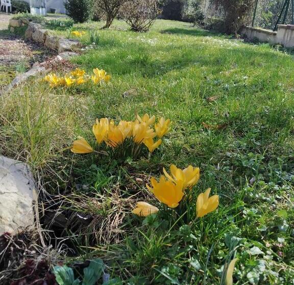 ペンション Les Chambres Du Lavoir