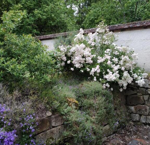 ペンション Les Chambres Du Lavoir