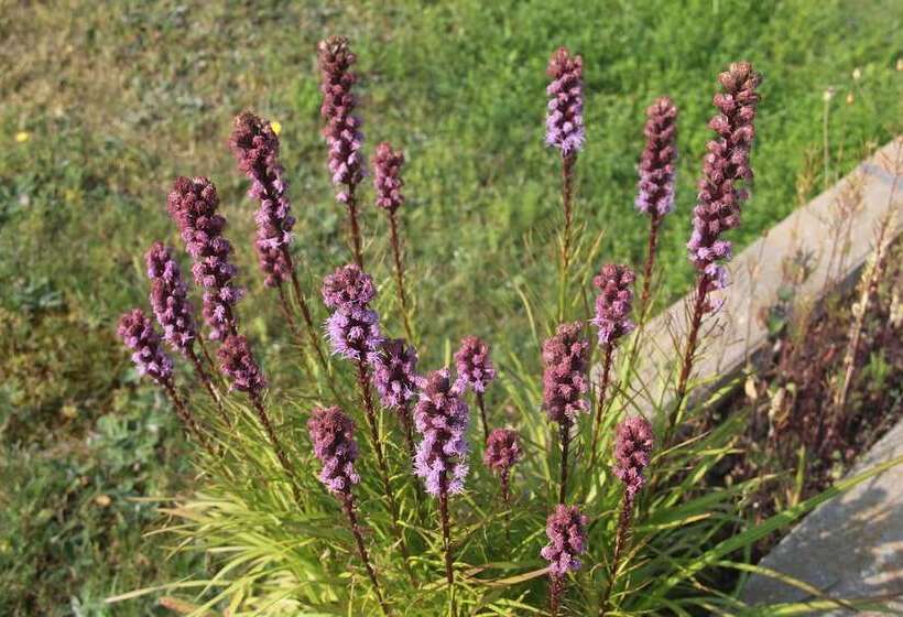 Пансион Room In Lodge Luther King Grande Chambre Décor Moderne Et Relaxe