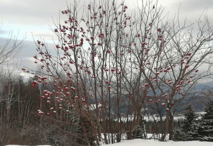 Пансион Room In Lodge Luther King Grande Chambre Décor Moderne Et Relaxe