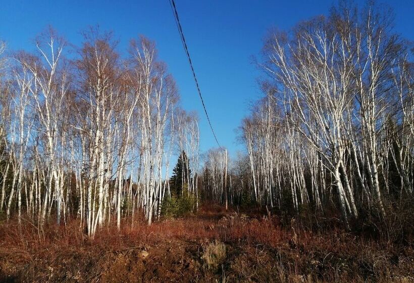 Пансион Room In Lodge Luther King Grande Chambre Décor Moderne Et Relaxe