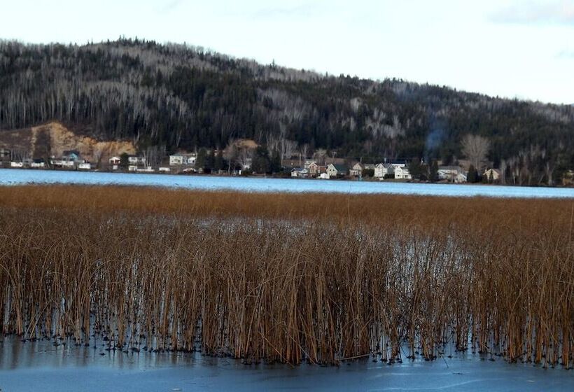 Пансион Room In Lodge Luther King Grande Chambre Décor Moderne Et Relaxe