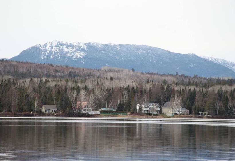 Пансион Room In Lodge Luther King Grande Chambre Décor Moderne Et Relaxe