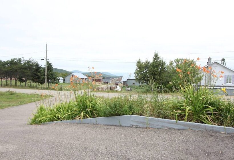 Пансион Room In Lodge Luther King Grande Chambre Décor Moderne Et Relaxe