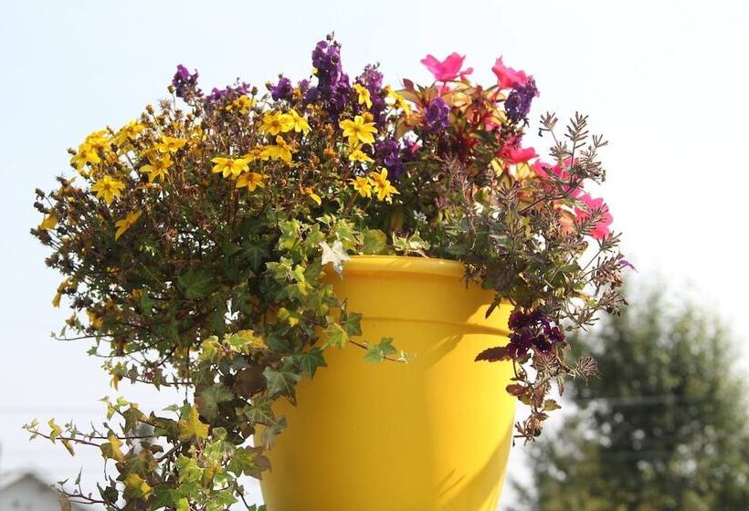 Пансион Room In Lodge Luther King Grande Chambre Décor Moderne Et Relaxe