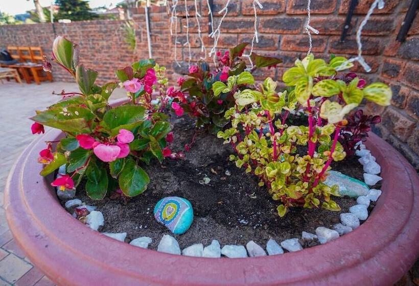 פנסיון Ocean Vibes