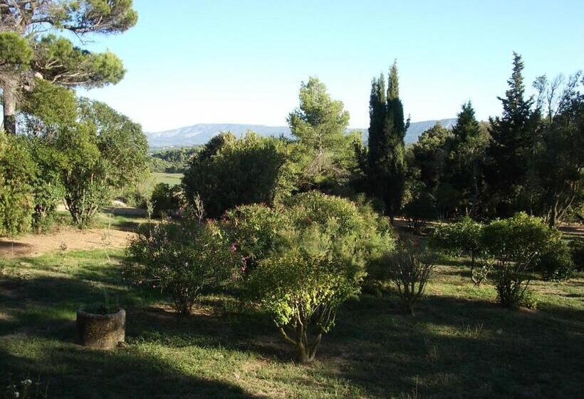 膳宿费 Room In Guest Room   Guest Room In The Heart Of The Vineyard