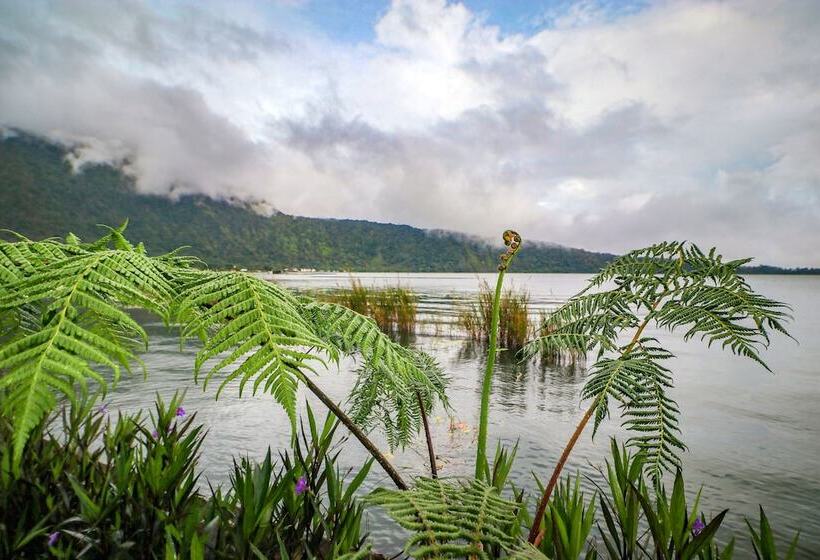 אתר נופש Diamond Glamping By Bio Management