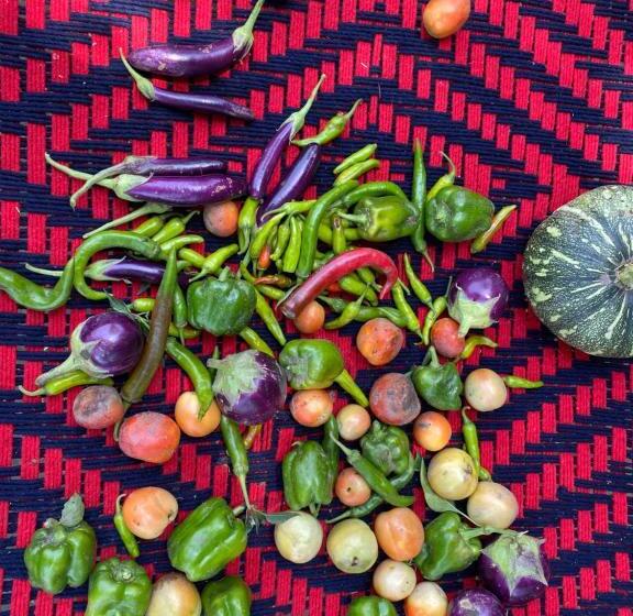 Resort Virsaa   The Captain S Mud Retreat