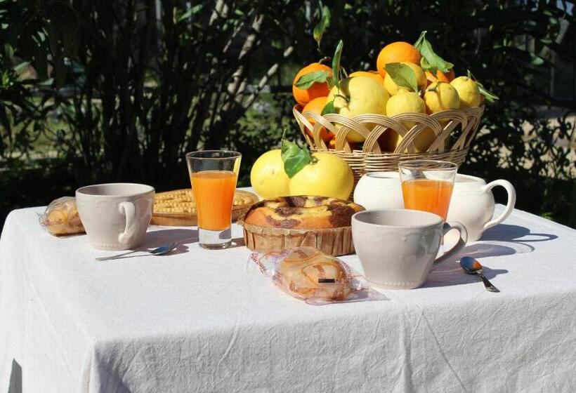 צימר Domu Virginia