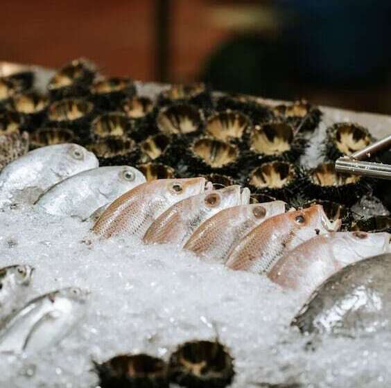 تختخواب و صبحانه Nang Nha Trong Dao