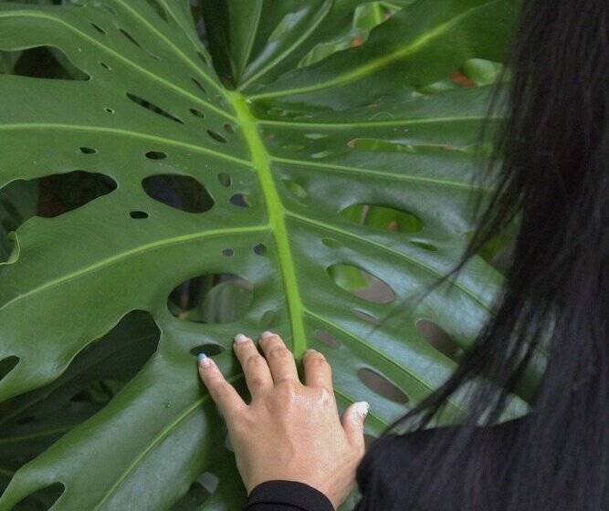 تختخواب و صبحانه Nang Nha Trong Dao