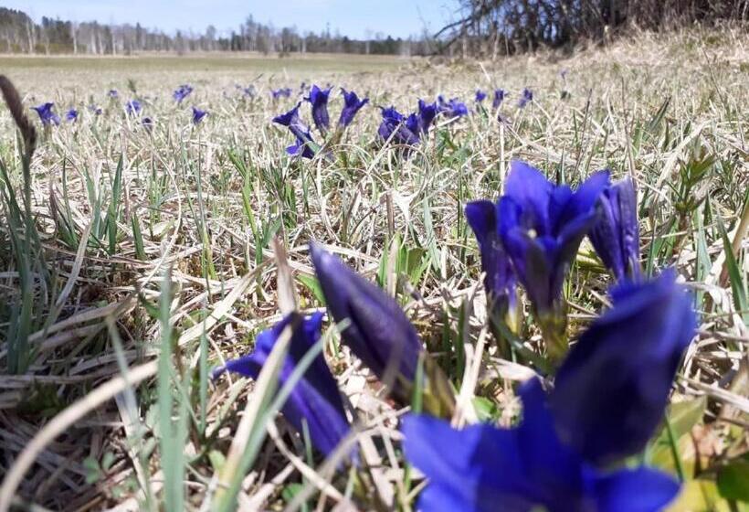 Gasthof & Hotel Zur Post
