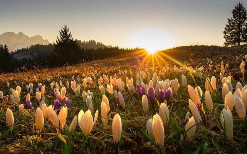 Gasthof & Hotel Zur Post