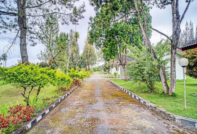 בית מלון כפרי Capital O 92214 Beristera