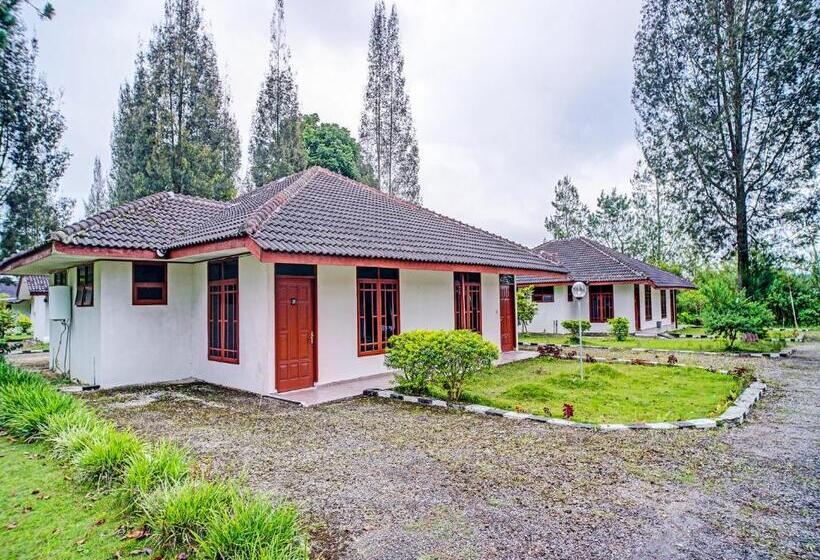 בית מלון כפרי Capital O 92214 Beristera