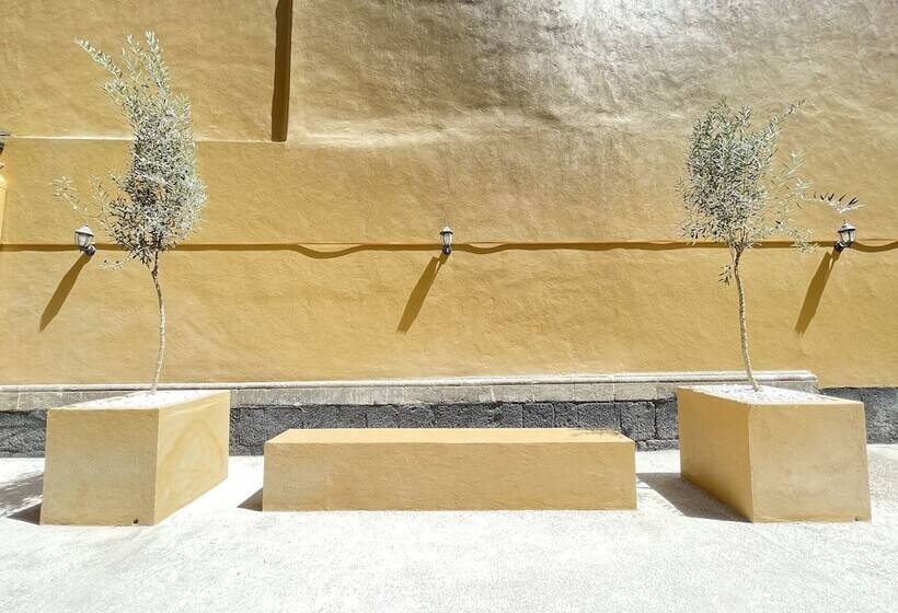 هتل Colmena Centro