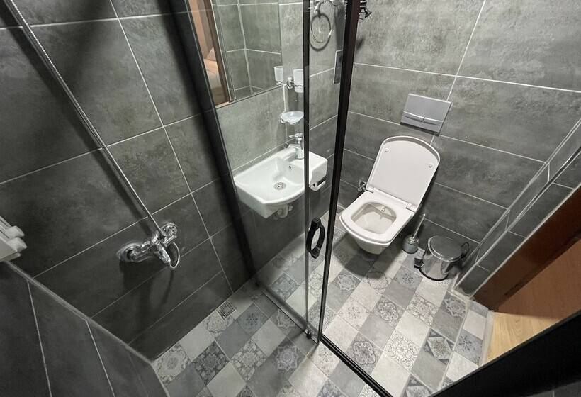 בית מלון כפרי Golden Metro Boutique