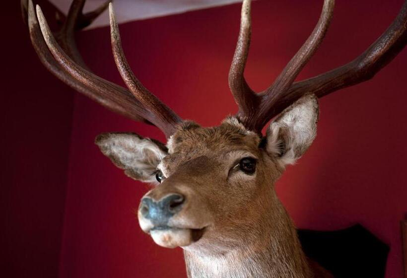 فندق Langass Lodge