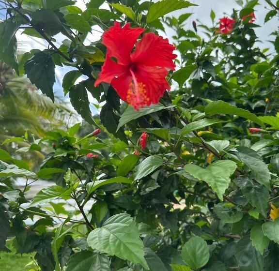 호텔 Dive Center Portobelo