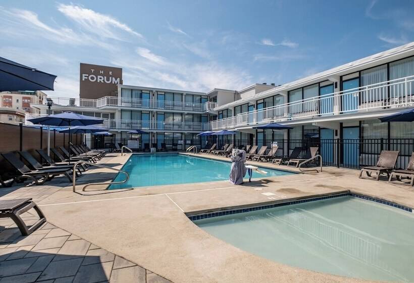 فندق The Surf Club