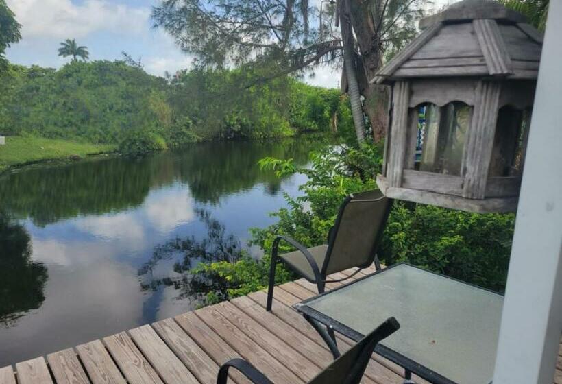 פנסיון 3 Great Room For Rent, Individual Entrance, Share Bathroom, Beautiful Lake, In Manufactured Home 5 M