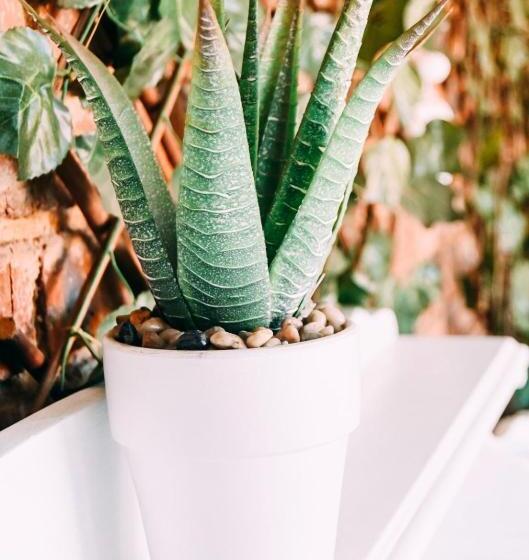 פנסיון Zhantique Guest House 1  Unit 5