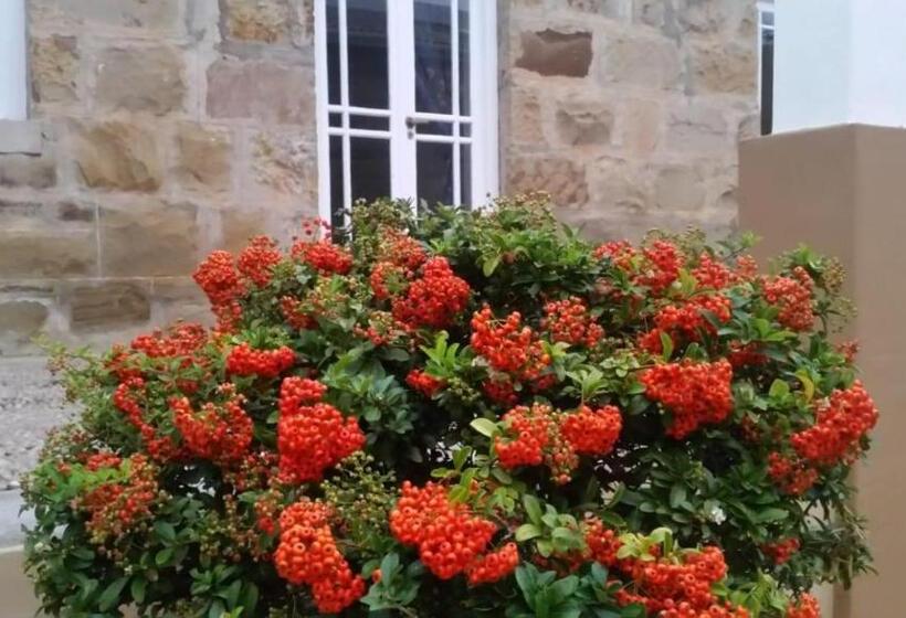 ペンション Twin Palms Accommodations