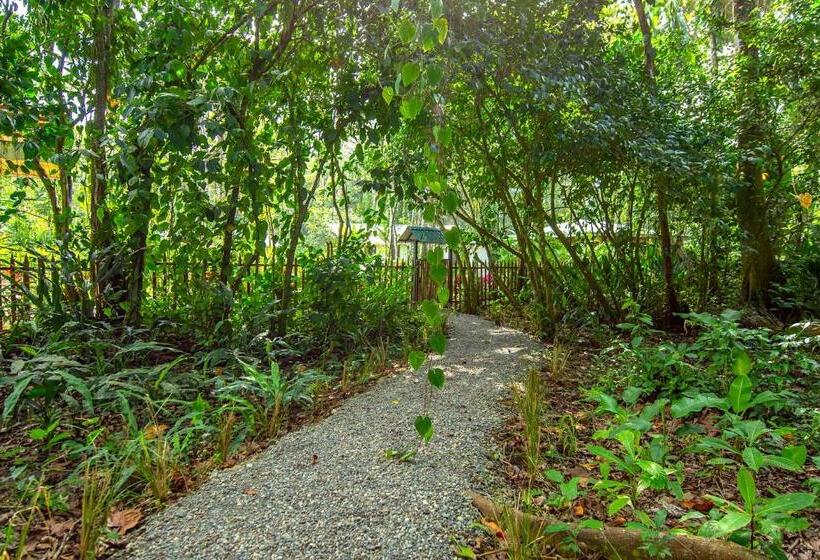 リゾートホテル Dragonfly Beachfront Villas Adult Only