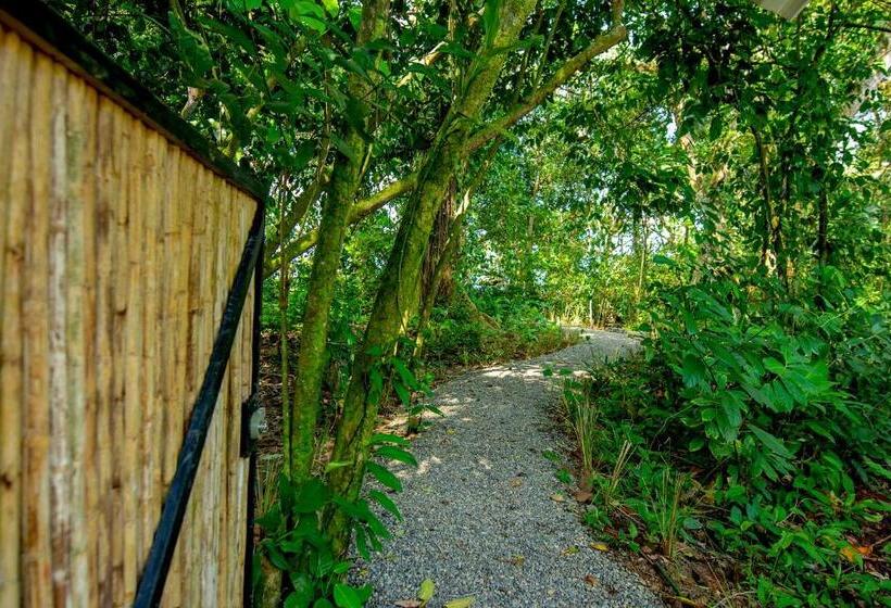 リゾートホテル Dragonfly Beachfront Villas Adult Only