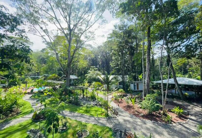 リゾートホテル Dragonfly Beachfront Villas Adult Only