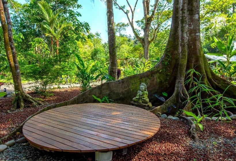 リゾートホテル Dragonfly Beachfront Villas Adult Only